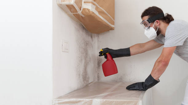 Professional Black Mold Removal technician working in Lincoln University, PA