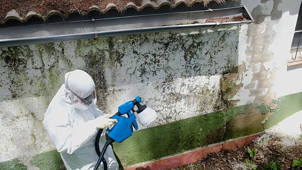 Trusted Crawl Space Mold Removal service in Lincoln University, PA - Cheap Mold Removal